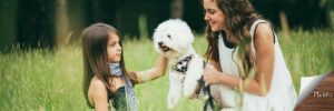 plantiva-7-hypoallergenic-dogs-family-with-bichon-frise