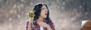 plantiva-grass-allergies-beware
